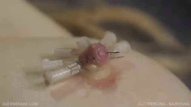 Poster: Clit Piercing