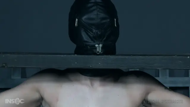Poster: Jacey tries out hoods Poster: Jacey tries out hoods