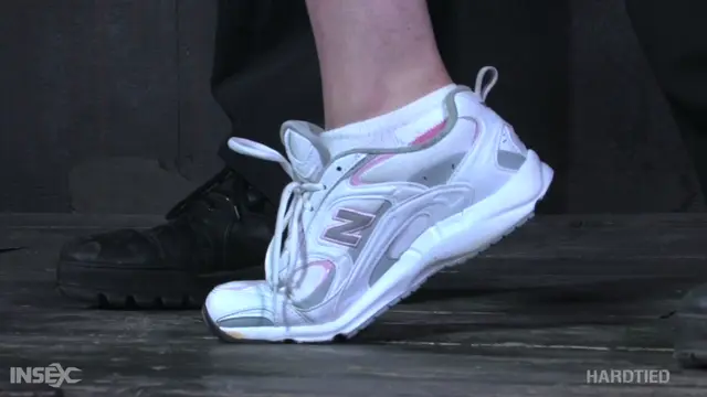 Poster: Lynx - Pro Sub